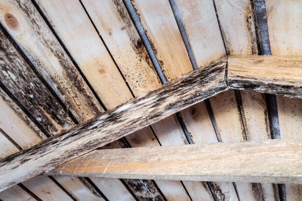 When unaddressed, moisture in an attic can lead to structural damage like wood rot and mold.