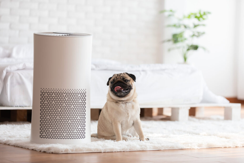 A happy puppy sits next to an air purifier that has improved the indoor air quality of his home