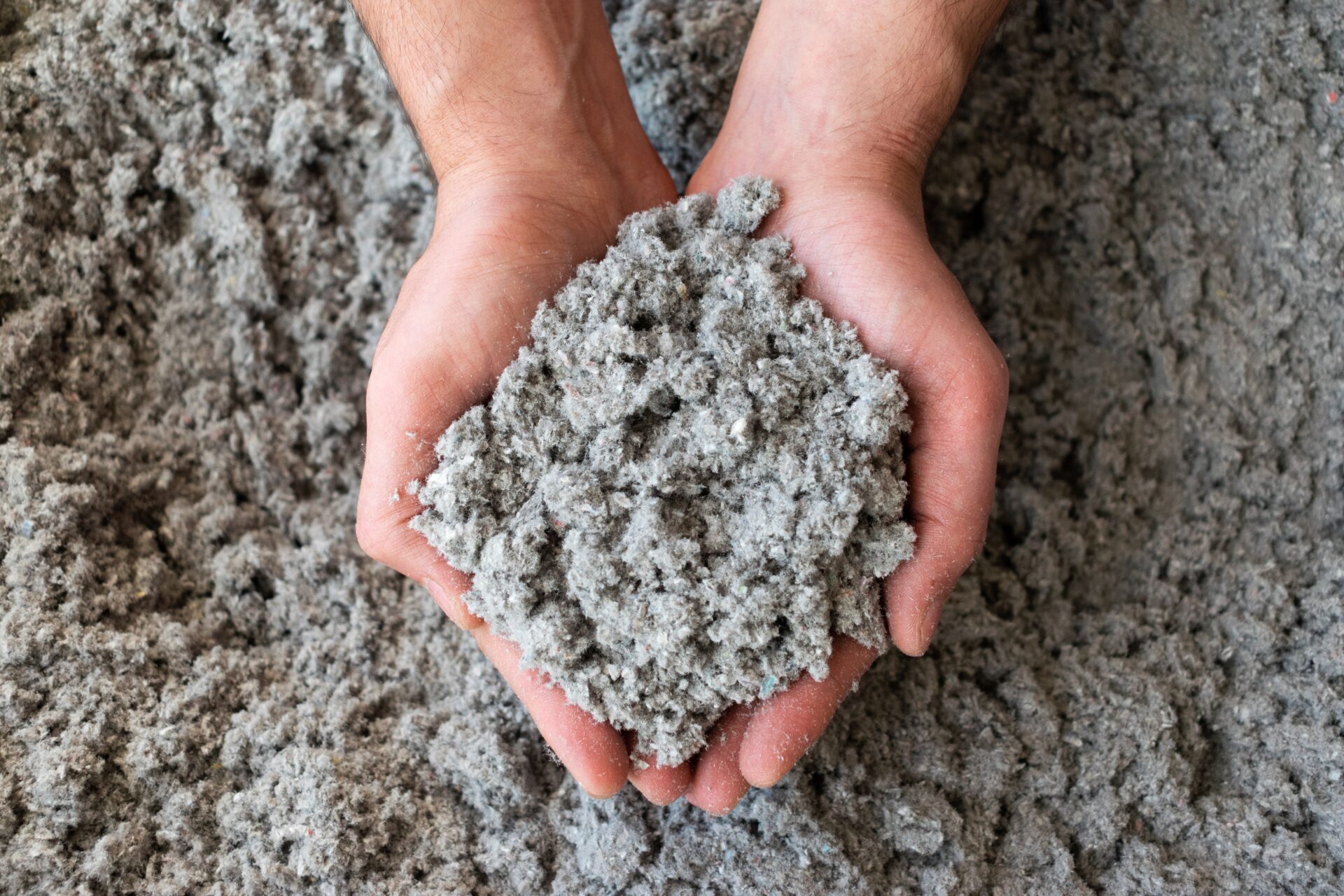 Two hands hold a pile of loose cellulose insulation