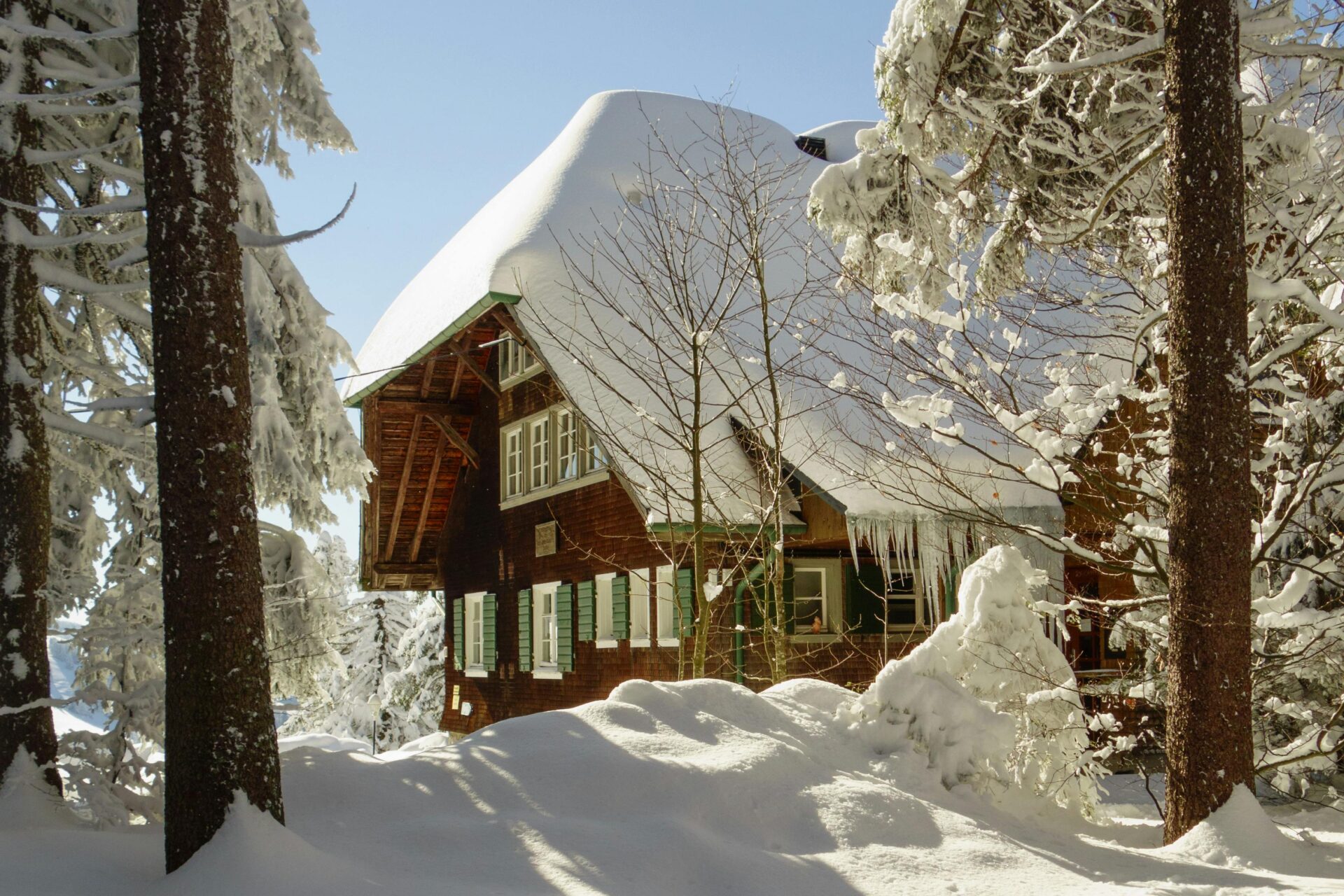A cabin in the woods has a snowy roof from a fresh snowfall and icicles hanging from the eaves
